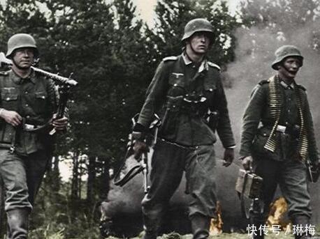 二战时德国将军让希特勒安心搞政治,希特勒表