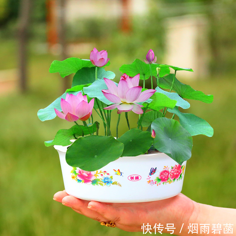 家里有阳台的,光晾衣服浪费!此样改造,新潮又