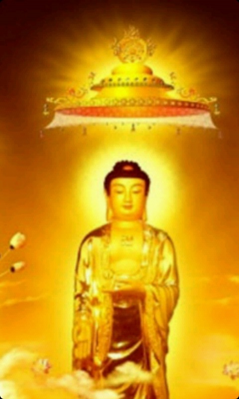 ... 手机壁纸高清佛_桌面壁纸高清佛_高清佛字莲花图片