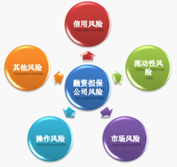 企业融资_融资性收入