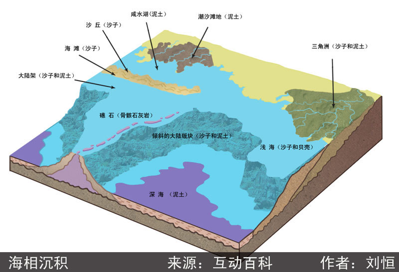 海相沉积指海洋环境下,经海洋动力过程产生