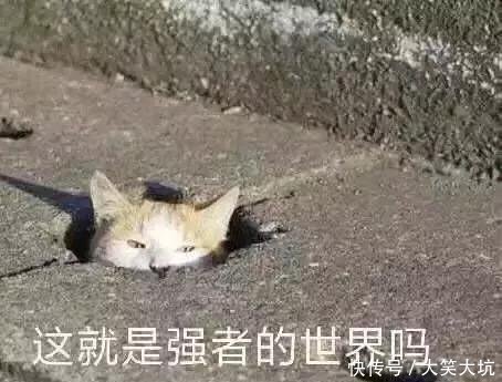 如果熊孩子都像表情里的萌娃一样可爱,那该中国图片惊讶表情美女图片