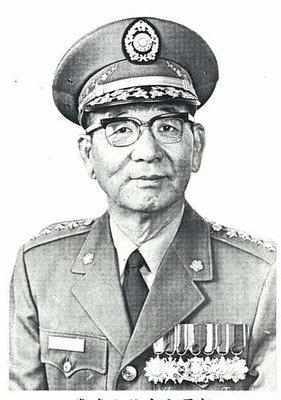 梦见狐狸与老虎，梦境中的神秘交织与心灵启示