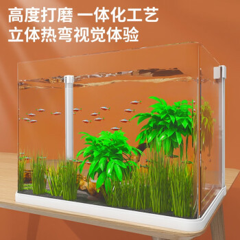 百色魚缸制作視頻教程下載免費（百色魚缸制作視頻教程下載免費觀看）