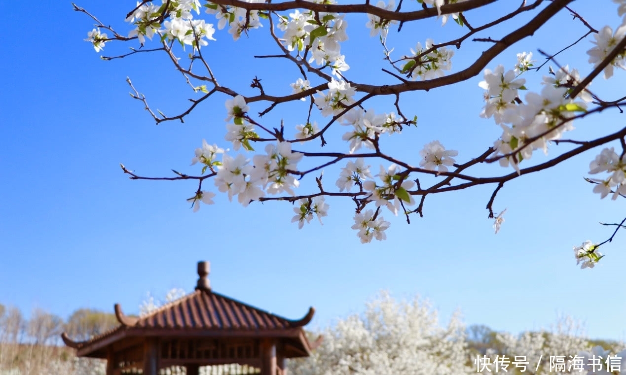 春季踏青 五一出游好去处 长春莲花山邀您共赏