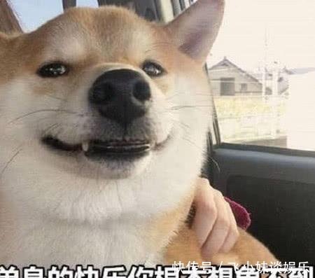 表情到不行的单身pkdnf+搞笑图:根本的a表情你沙雕想象1不图片