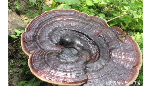 t01abc7a166878ccfd0.jpg?size=600x340