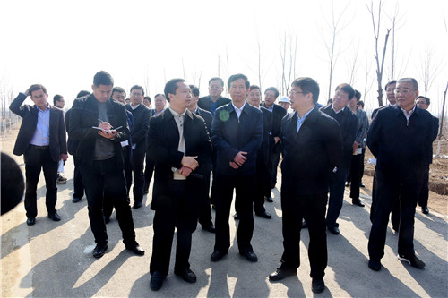 山东东阿:创森发展特色林业 向观光林要经济效