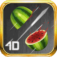 4D FRUIT SLICE