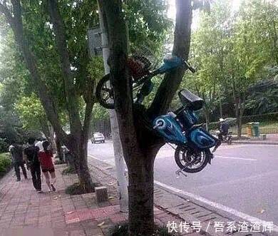 搞笑图片幽默段子笑话:电瓶车是怎么到树上去