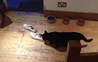 孩子,你可真是会找地方睡 - 360娱乐,你开心就好