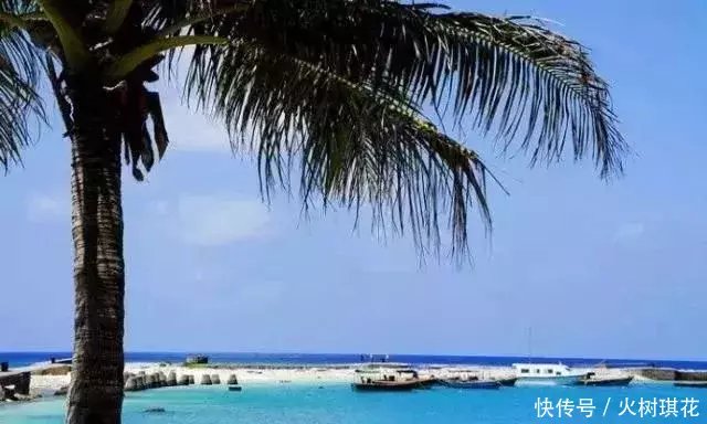 小清新的夏天就要到了~ 想不想飞去热带的岛屿游泳玩水 在水清沙幼的碧海蓝天中感受清凉 什么?嫌国外海岛太远? 今天推荐几个国内高性价比海岛~ 绝不输国外的美到极致的海岛! 东极岛 地理位置:浙江省舟山市 当一艘船沉入海底 当一个人成了谜 你不知道 他们为何离去 那声再见竟是他最后的一句 东极岛 大陆最东的尽头,是东极岛,真正的远方。 多少人因为《后会无期》这部电影了解东极岛 并且爱上了它.