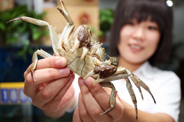 公螃蟹煮熟打开壳中间绿不拉机的是什么_360