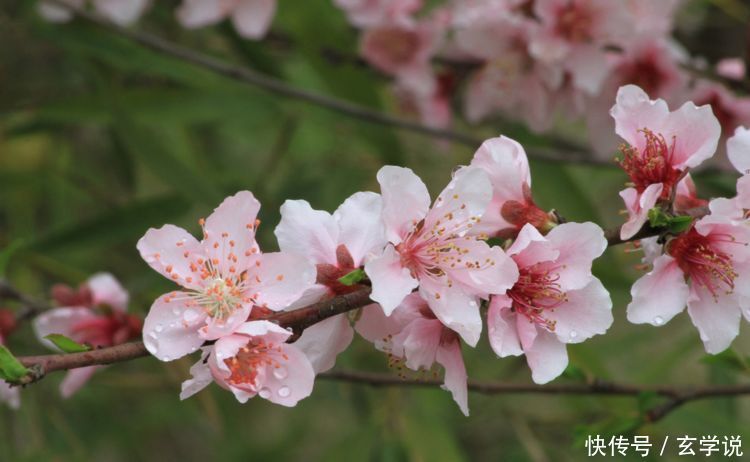 6月横扫霉运，迎来咸鱼大翻身，横财雨下不停的三大生肖！