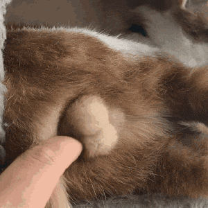 我不嫌弃我老婆,真的,我只是嫌你老婆丑!