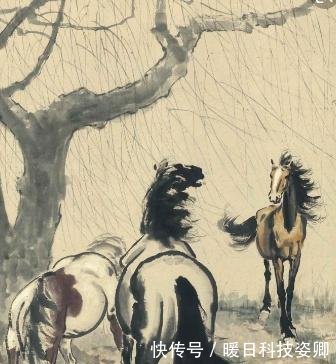 为什么叫一匹马而不是一头马 t01b7b2058755890275.jpg