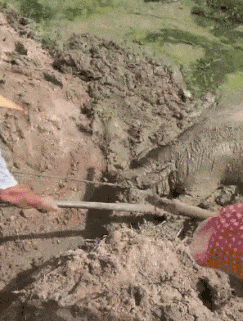 搞笑gif: 家里有矿啊,这样用面膜简直太浪费了