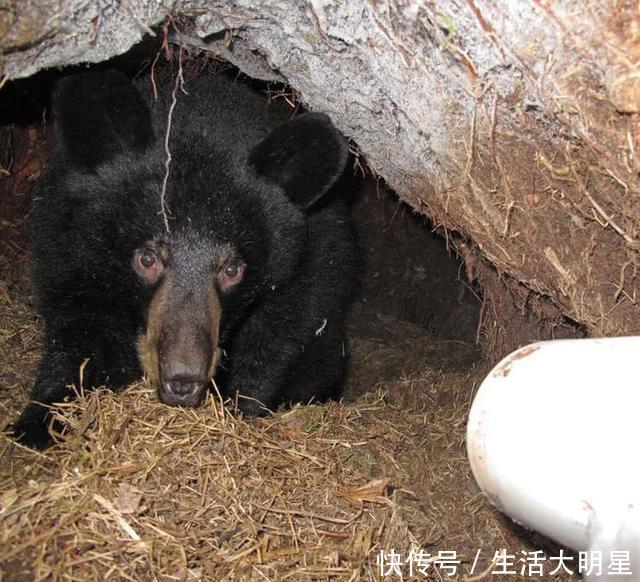 男子野外发现神秘洞穴，钻进去后，男子吓得两腿发软