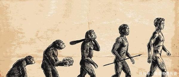 人类的祖先是谁人和猩猩是什么关系