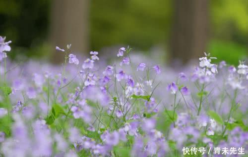 2018年感情坎坷,不利婚姻之人