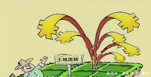 土地承包合同怎么写