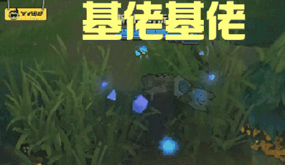 gif哥 憋说话 基佬紫告诉你队友的重要性