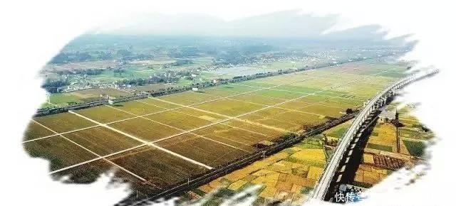 国家现代农业产业园政策解读