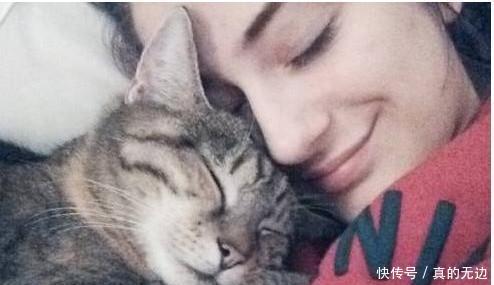 如果你的猫表现出这几点,那就说明它是很喜欢