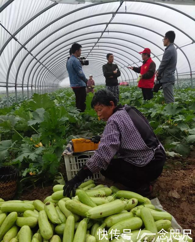 以实际行动传承和践行五四精神,团市委在沁阳