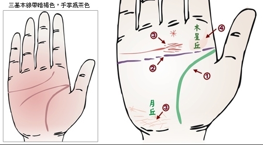 秒懂面相:观手知人术