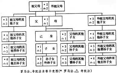 概念解读 亲等 degree of kinship)是中外法律上计算亲属关系亲疏