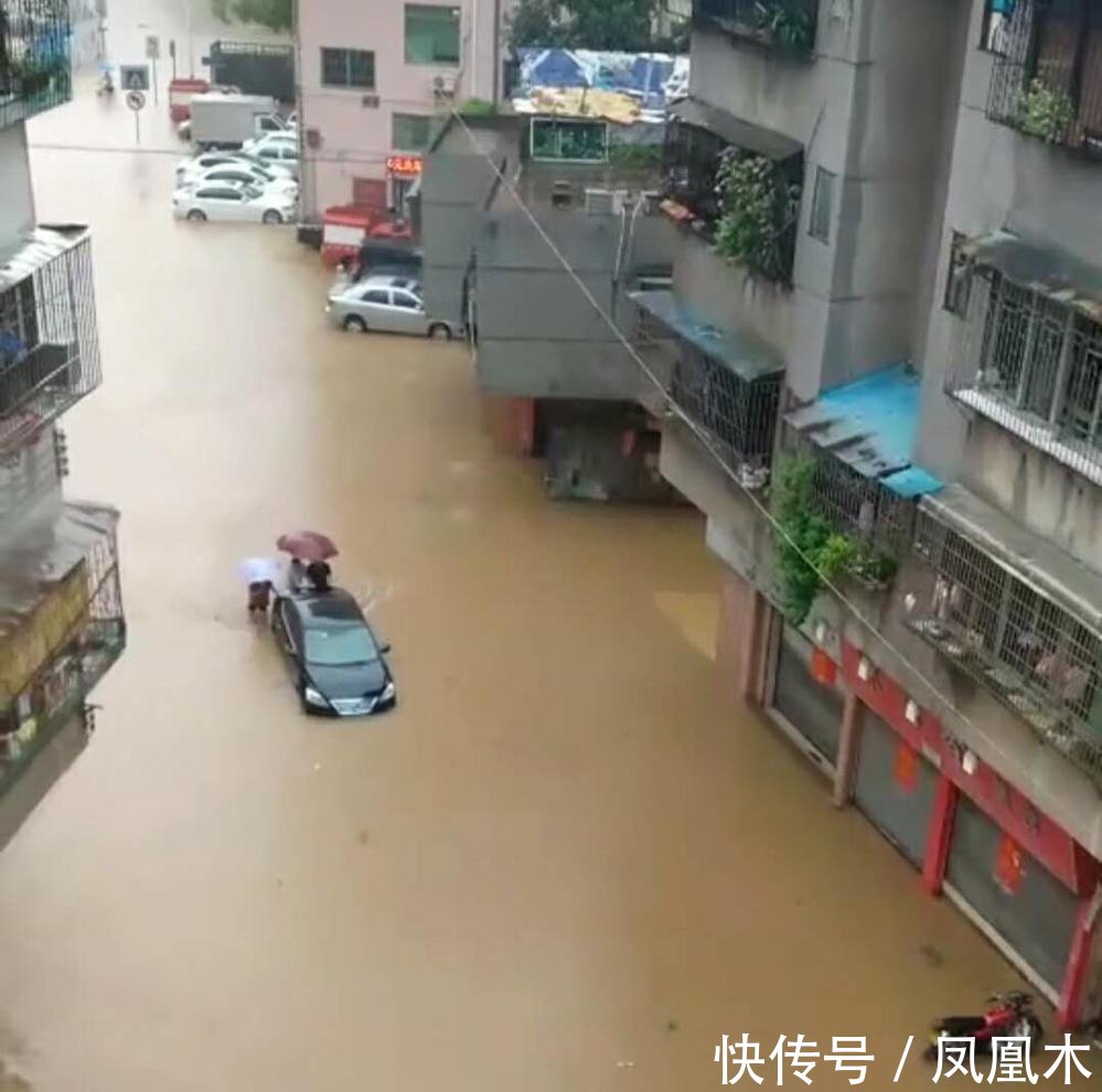 广东大雨4S店被淹, 新车变泡水车