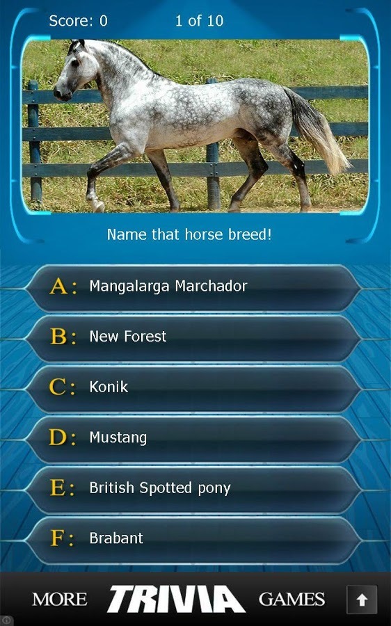 Name that Horse Breed Trivia截图10