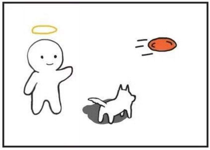 想知道狗狗每天黏着你的原因是什么吗?