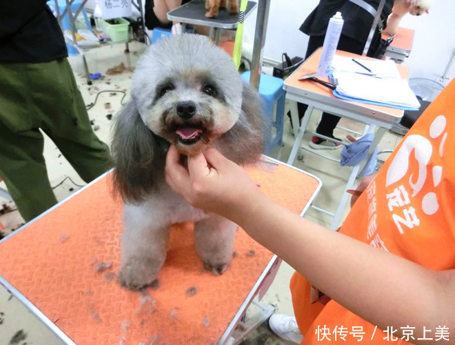 美容师工资一般多少