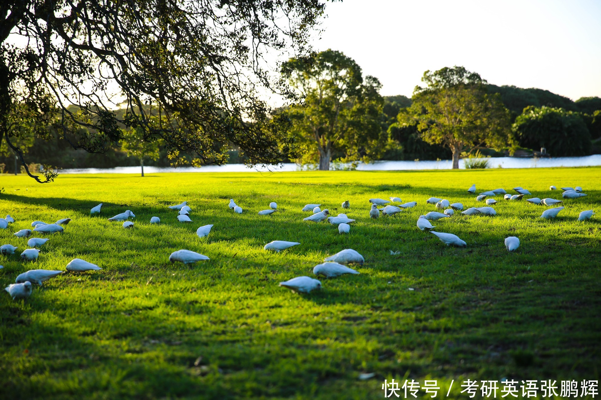 2019考研英语长难句(59)非限定性定语从句的学