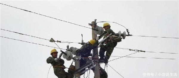 低压电工证网上查询