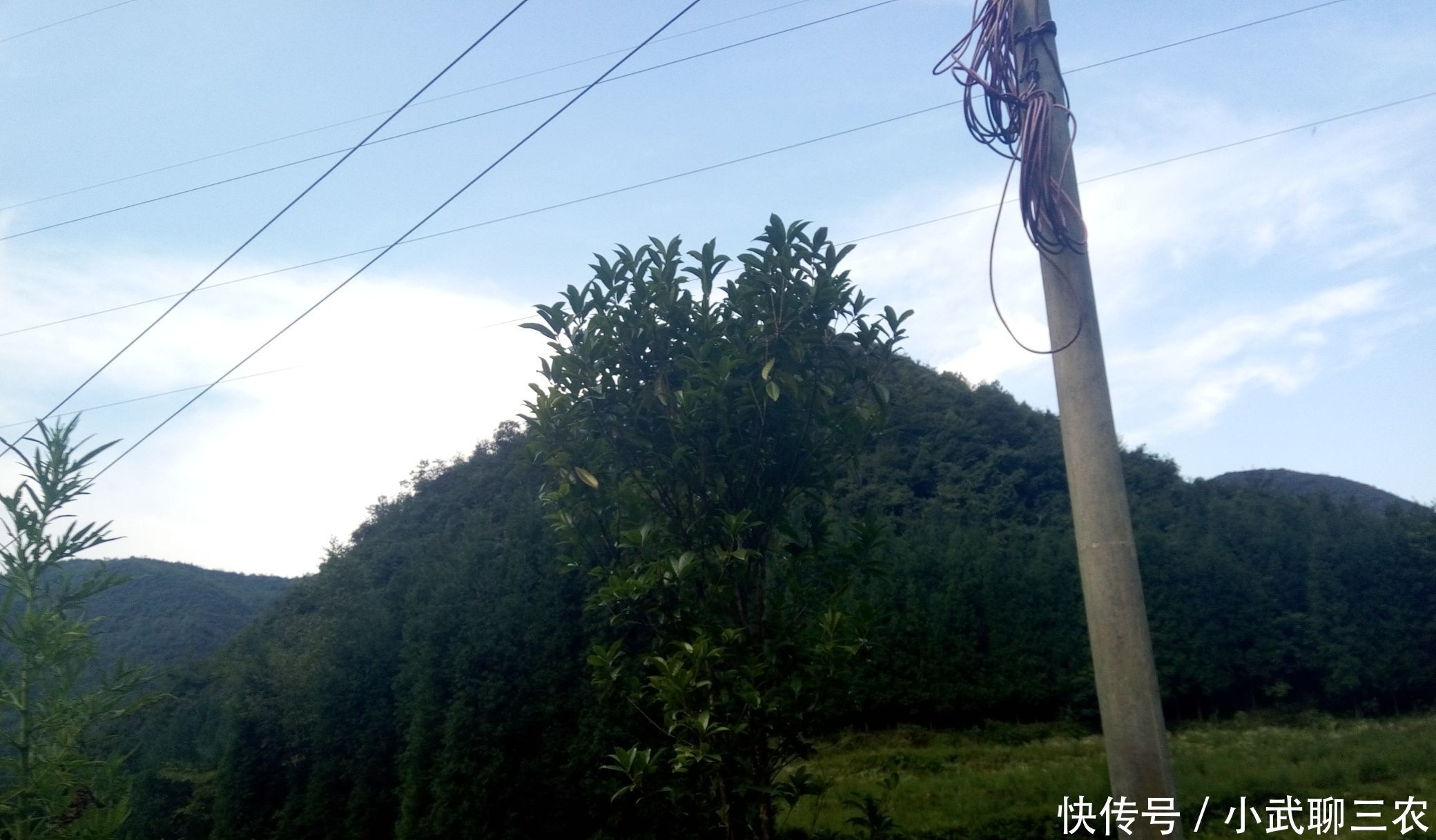 关于中国农业经济思想建立分析!_【快资讯】