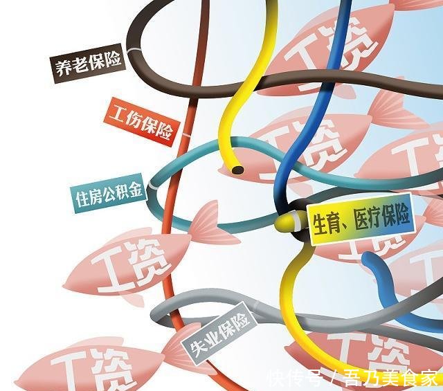 生育保险怎么用