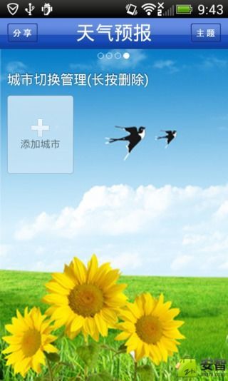 天气预报截图1