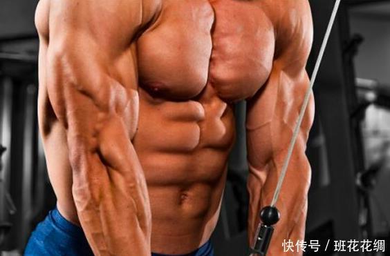 怎么快速练出大块头 t01c48b0fb17e9cc103.jpg