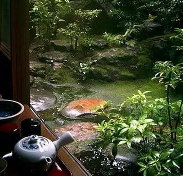 有个庭院,喝茶读书,不争朝夕