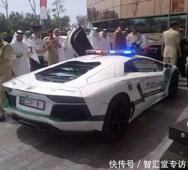 兰博基尼警车、疯狂的建筑、不可思议的宠物......这是迪拜人的生