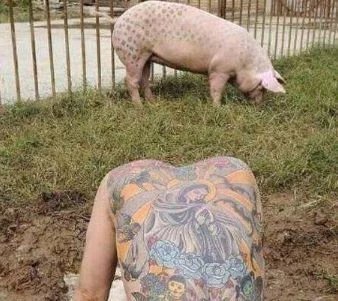 纹身师放弃上万薪资,养猪创作遭人议论,数月后