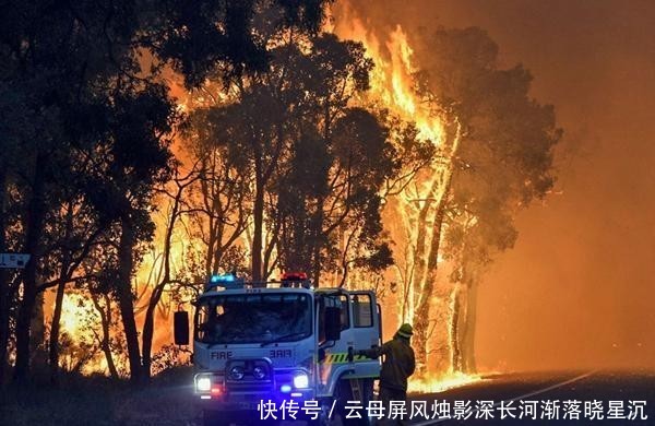 澳洲大火烧光