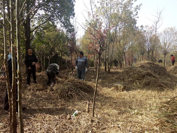 【图文】佛头山文化产业园扎实做好景区红梅园管护工作