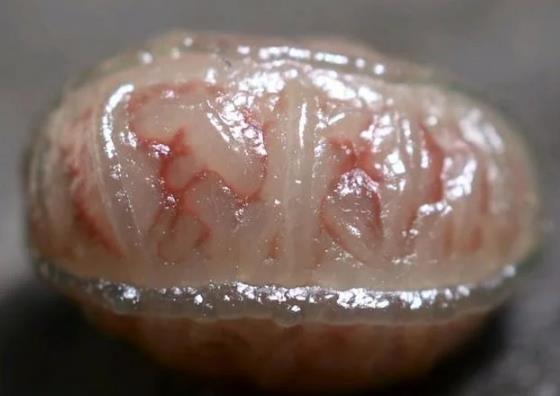 男子野外捡来一块血丝的石头,拿到手里看了看,感觉自己要发财了