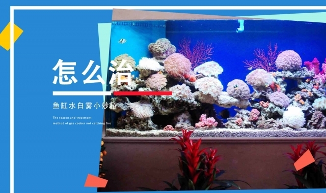 鶴壁二手魚缸（鶴壁二手魚缸出售）