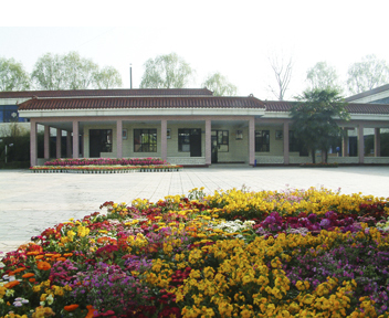 乡镇概况 文星镇境内有中国第四大航空港成都双流国际机场;成昆铁路