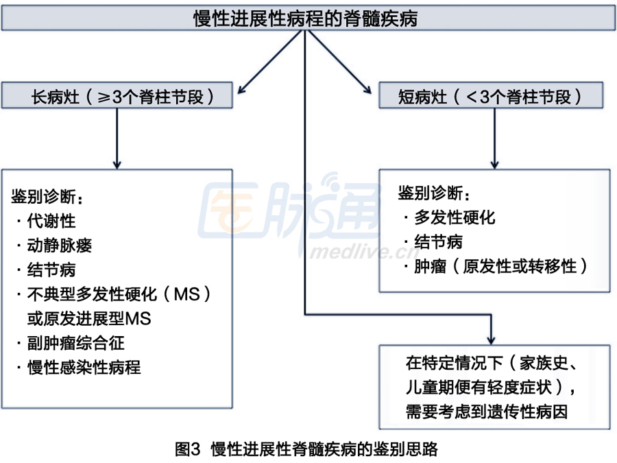 收藏!6张图表轻松掌握脊髓疾病鉴别诊断